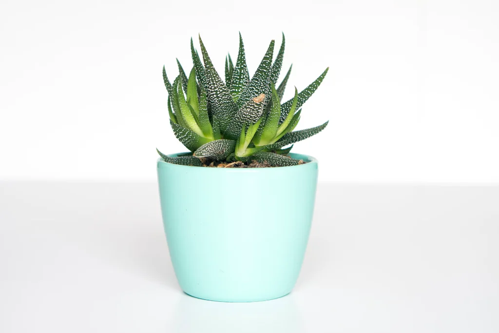 Utveckling med kunder